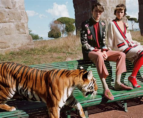 gucci spring 2017 campaign|Altro.